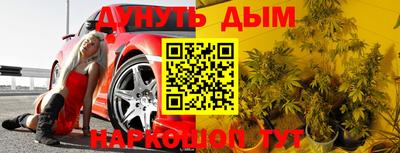 гашик Ирбит